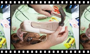 Siofok Production 2016